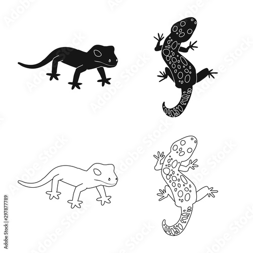 Vector design of tail and fauna sign. Collection of tail and environment vector icon for stock. © Svitlana