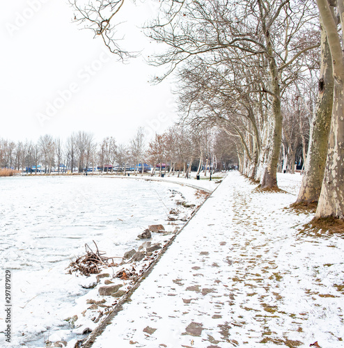 Nice winter scene at lake B...