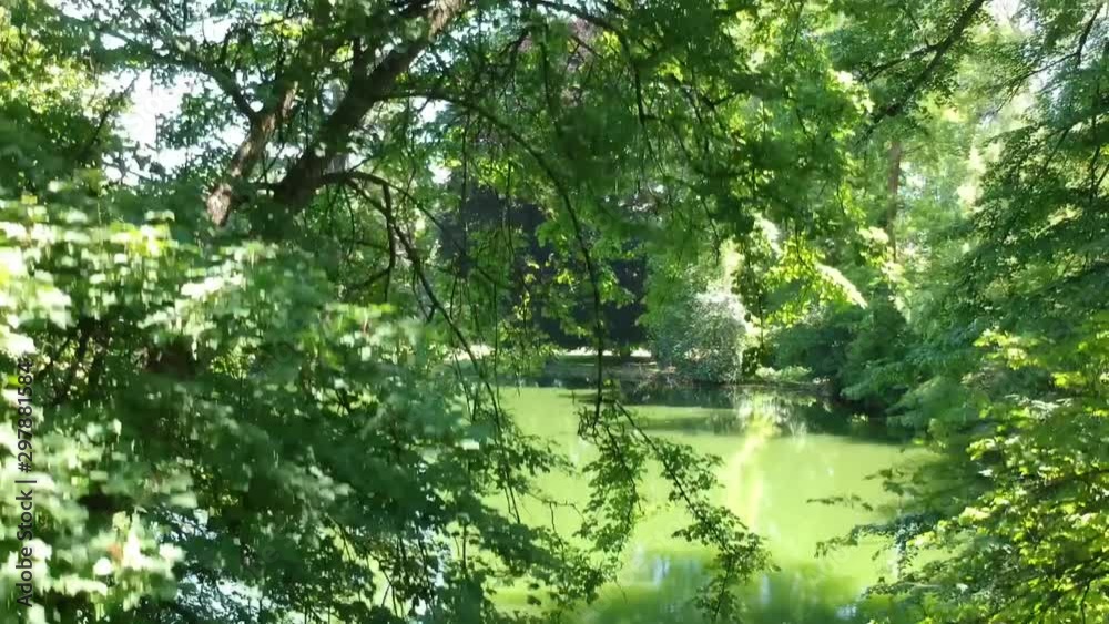 Aerial view from bottom to the top of trees in a beautiful forest. Lake surrounded by trees in a forest. Italian forest. Drone footage. Aerial view from bottom to the top of trees in a beautiful forest. Lake surrounded by trees in a forest. Italian forest. Drone footage.