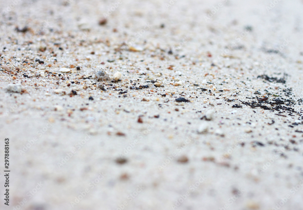 Sandy beach sand background, Selective and soft focus. Sandy beach sand background, Selective and soft focus.