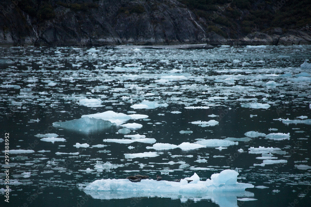 Fototapeta premium ALASKA
