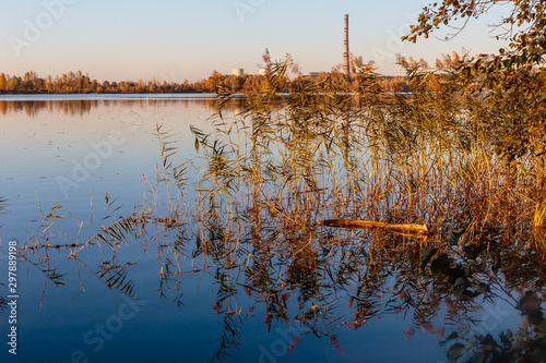 Autumn landscape. Reed near the shore. Sunset on the lake. Kiev
