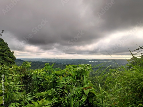 green field and blue sky