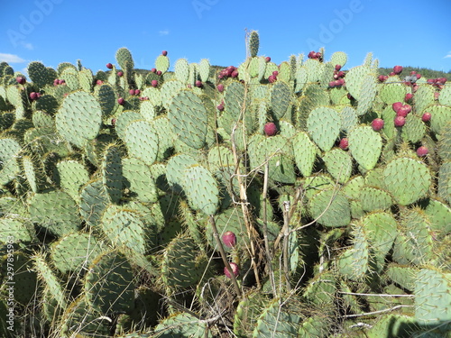Autour du lac du salagou
