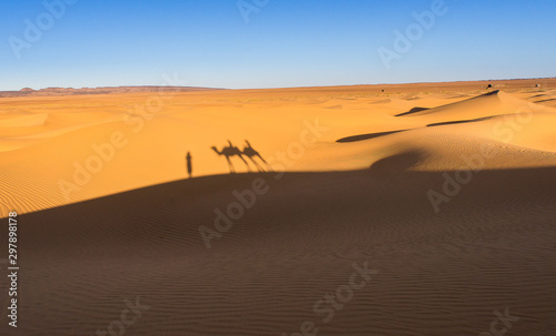 Camel silhouette in sahara desert in morocco