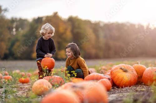 Two little boys having fun in a pumpkin patch