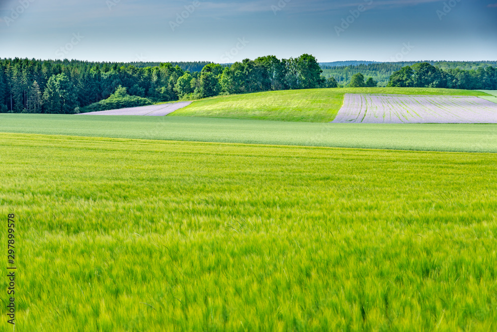 Obraz premium Felder Lusthof