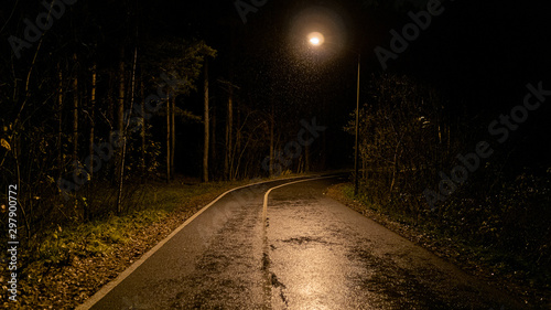 walk in the night park in autumn in the rain © Nikolay
