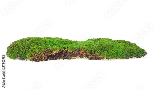 Wet green moss isolated on white background