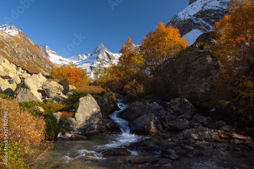 Mountains in the snow with yellow trees and bushes against a clear blue sky and a river between large stones. Autumn background.