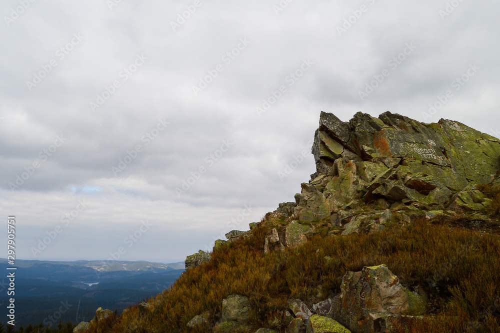 Fototapeta premium Wolfswarte