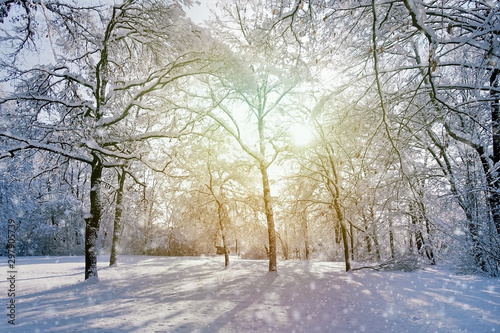 Winterlandschaft  © Anselm Baumgart