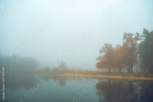Trees on the shore of a lake. Autumn nature. Toning photos.