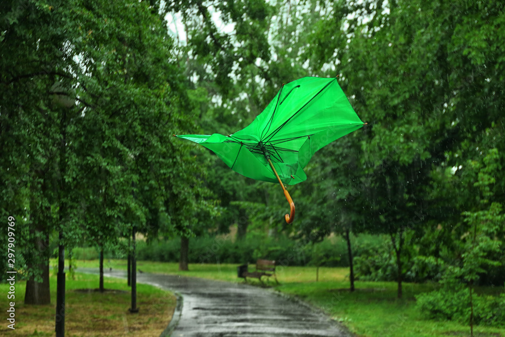 Broken green umbrella in park on rainy day