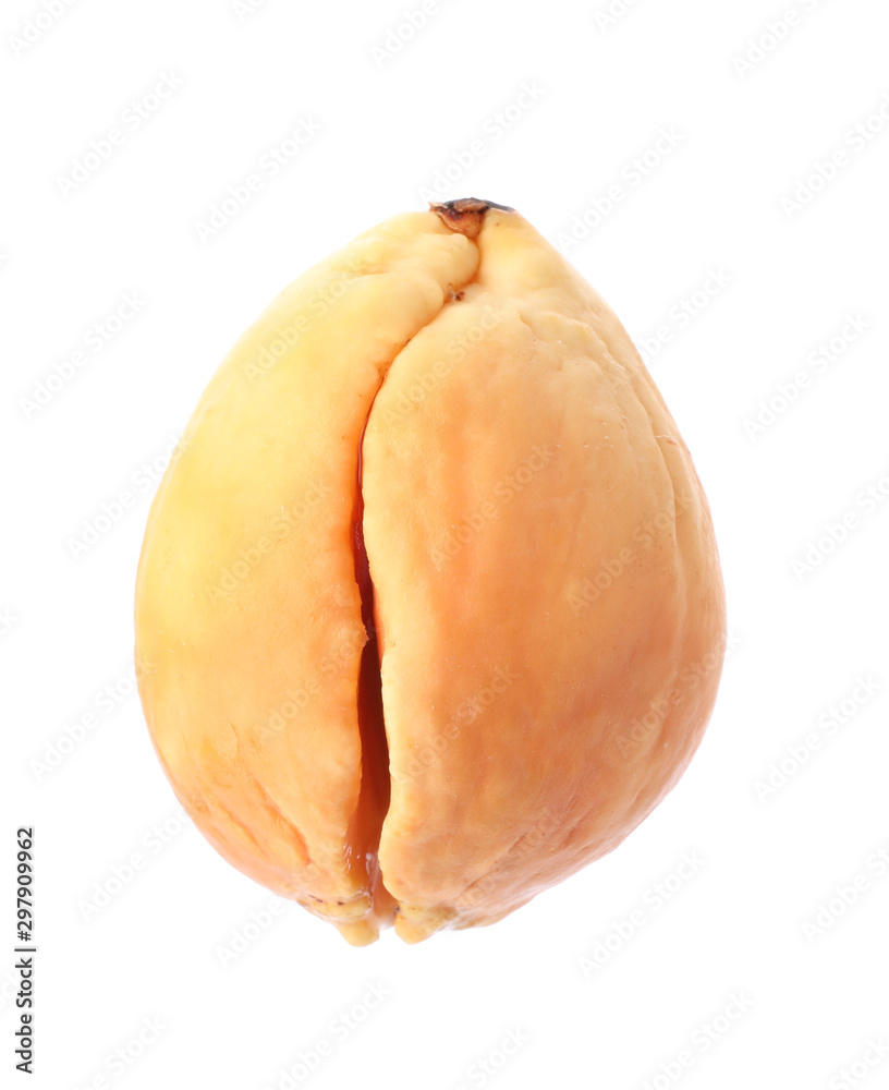 Small organic avocado pit on white background Small organic avocado pit on white background