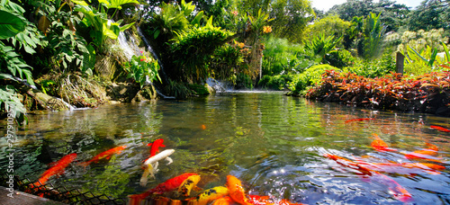 Beautiful botanical garden - Jardin de Deshaies, north west of Basse-Terre, Guadeloupe, Caribbean