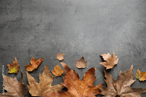 Flat lay composition with autumn leaves on grey stone background. Space for text