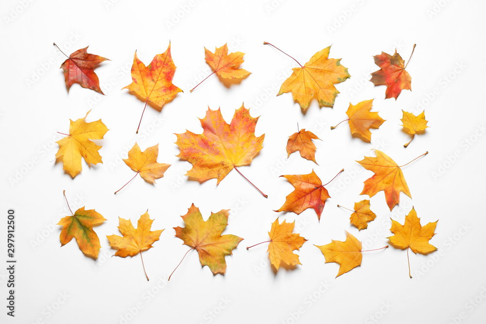 Fototapeta premium Flat lay composition with autumn leaves on white background