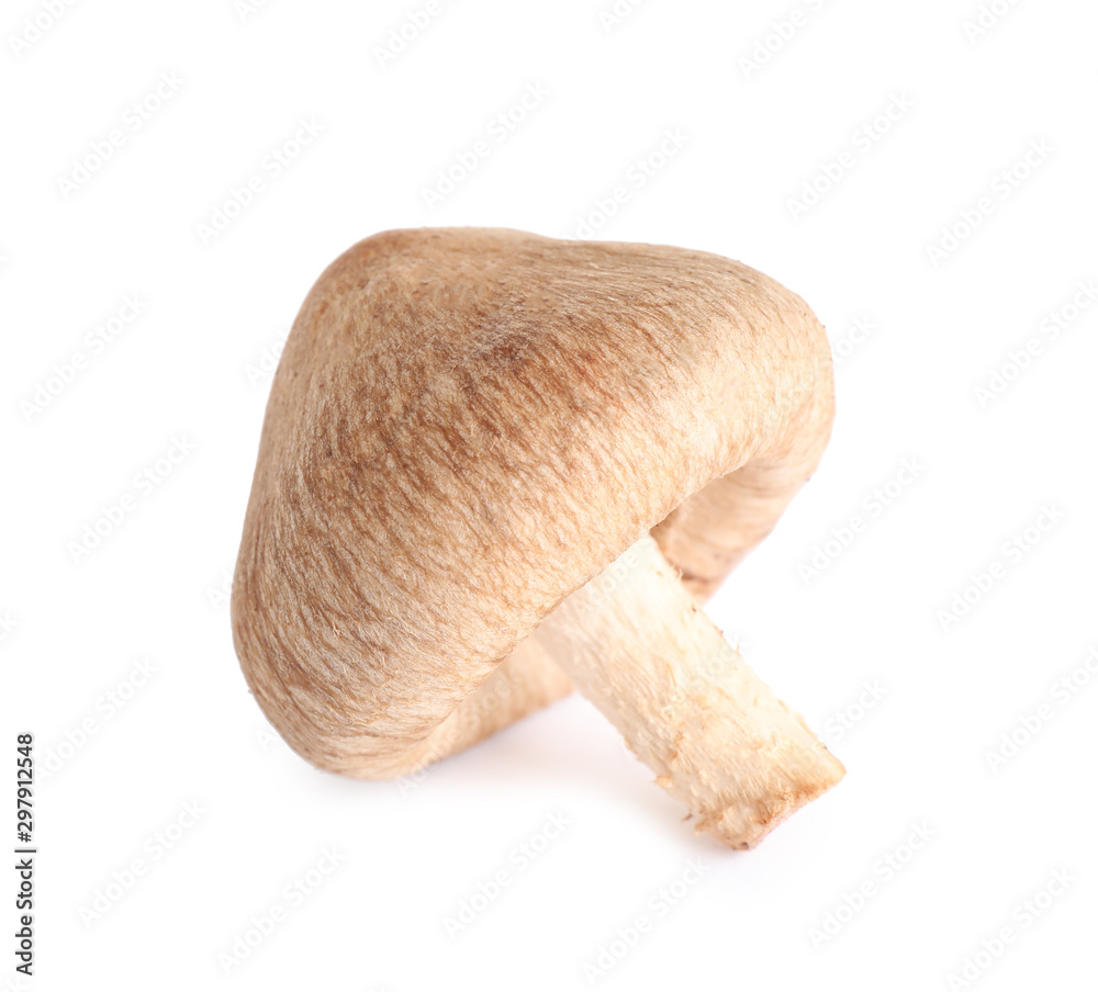 Fresh wild mushroom on white background. Edible fungi Fresh wild mushroom on white background. Edible fungi