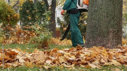 Worker blowing the autumn leaves with a leaf blower. Fallen leaves cleaning. Middle plan 4k