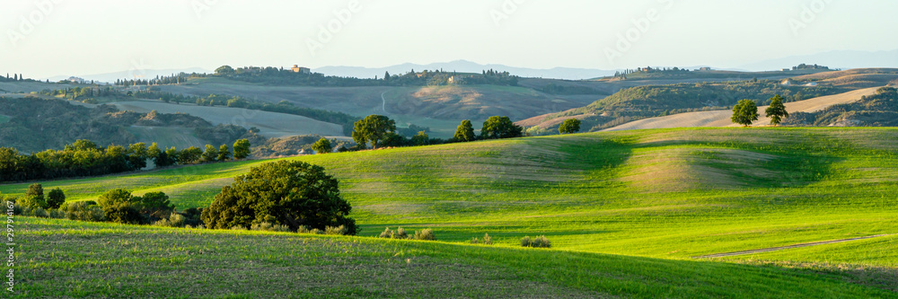 Fototapeta premium Beautiful landscape in Tuscany - wave hills covered green grass. Tuscany, Italy, Europe.