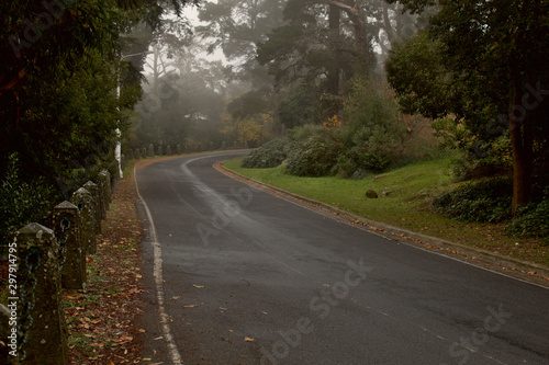 Niebla en el camino del parque