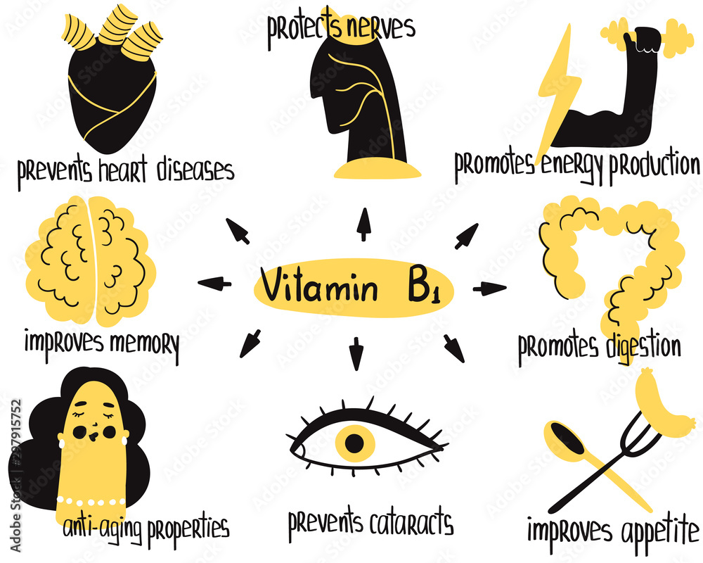 Hand drawn vitamin B1 thiamine benefits protects nerves and digestion, prevents cataracts