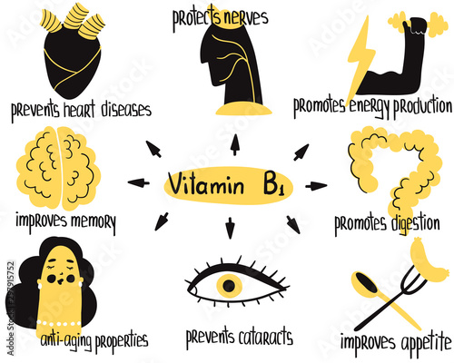 Hand drawn vitamin B1 thiamine benefits: protects nerves and digestion, prevents cataracts, improves appetite and memory. Vector drawing is for pharmalogical or medical brochure, dietary supplement.
