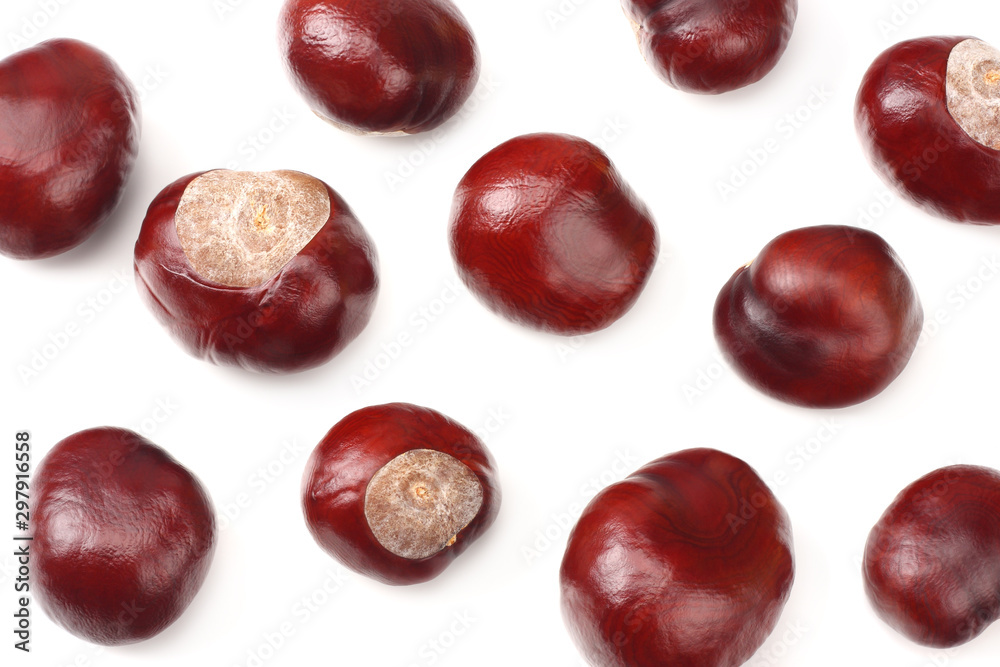 chestnuts isolated on white background. top view chestnuts isolated on white background. top view