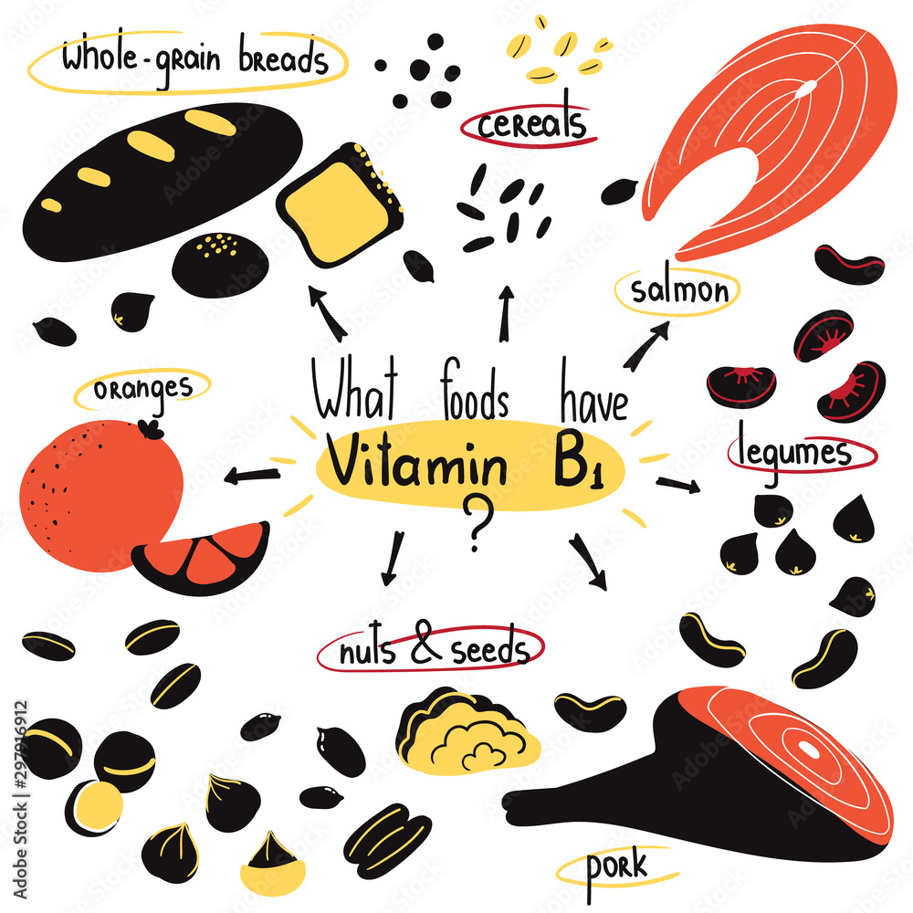 Hand drawn vitamin B1 main food sources pork, seeds, nuts, oranges