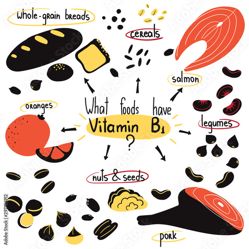 Hand drawn vitamin B1 main food sources: pork, seeds, nuts, oranges, whole-grain breads, legumes. Vector illustration is for pharmalogical or medical poster, flyer, dietary supplement.