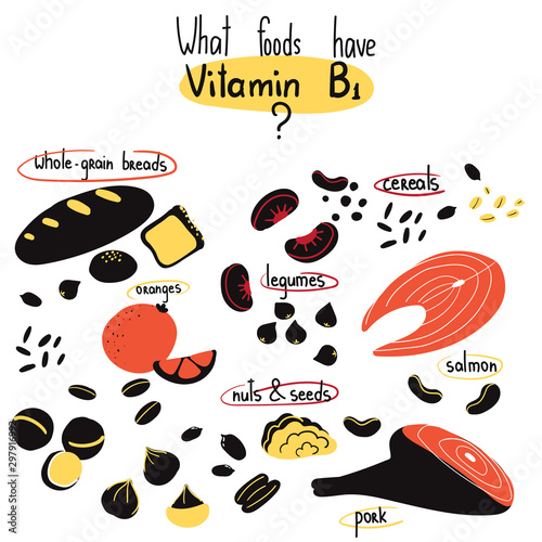 Hand drawn vitamin B1 main food sources: pork, seeds, nuts, oranges, whole-grain breads, legumes. Vector illustration is for pharmalogical or medical poster, flyer, dietary supplement.