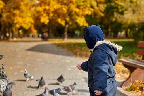 Little boy in overalls and a funny hat feeds pigeons in the park in autumn, back view.