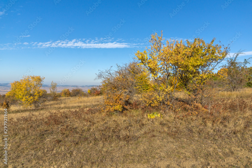 Fototapeta premium Autumn panorama of Cherna Gora mountain, Bulgaria