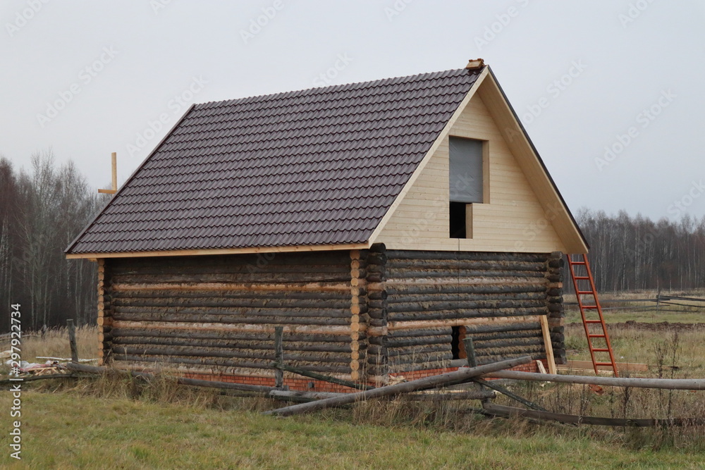Fototapeta premium house