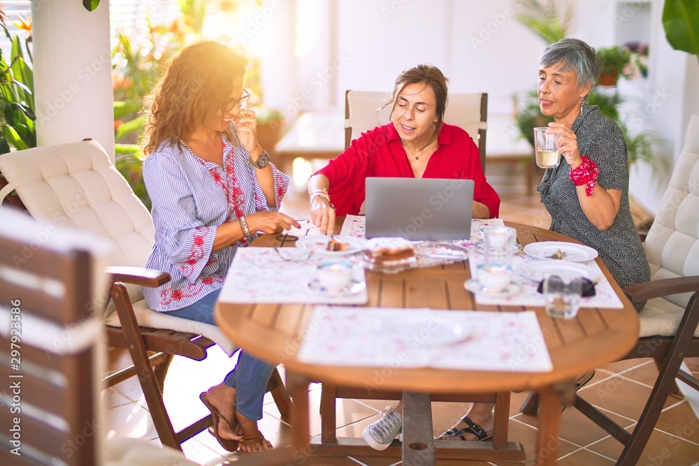 Meeting of middle age women having lunch and drinking coffee. Mature friends smiling happy using laptop at home on a sunny day Meeting of middle age women having lunch and drinking coffee. Mature friends smiling happy using laptop at home on a sunny day
