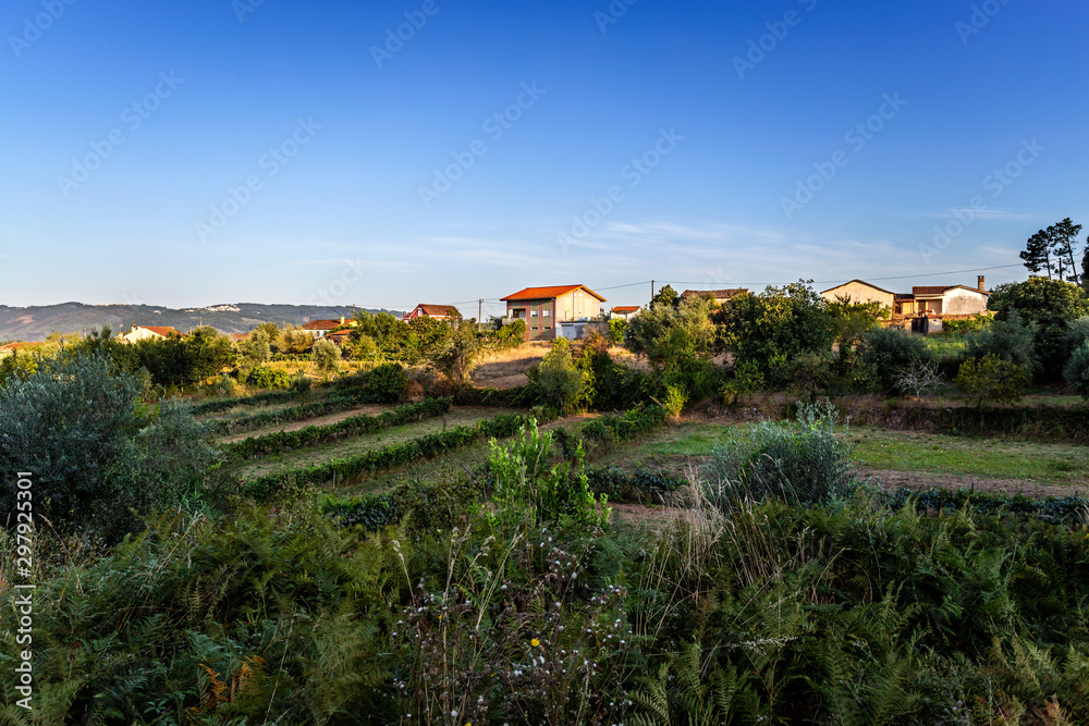 Penacova Traditional Village at Sunrise