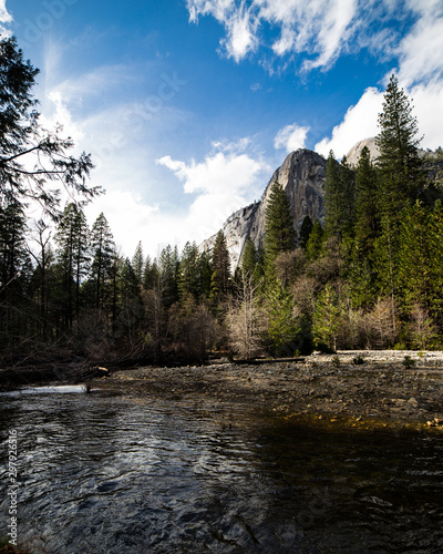 lazy river view and trees in Yosemite