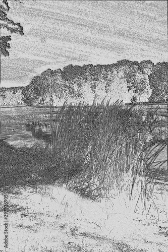 Fotografie, Tablou Lake Shoreline with Clump of Grass, Lake Chickamauga, Harrison Bay State Park, T