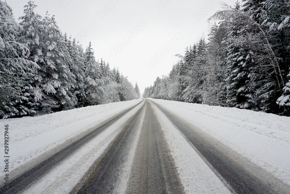 Beautiful winter landscape with snow-covered trees and road in Latvia. Beautiful winter landscape with snow-covered trees and road in Latvia.