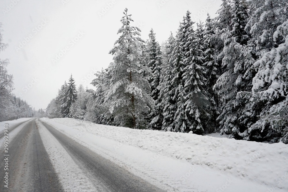 Fototapeta premium Beautiful winter landscape with snow-covered trees and road in Latvia.
