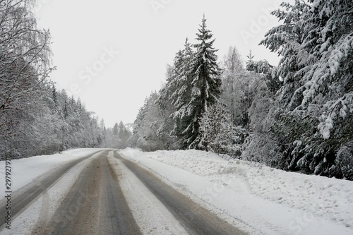 Beautiful winter landscape with snow-covered trees and road in Latvia.