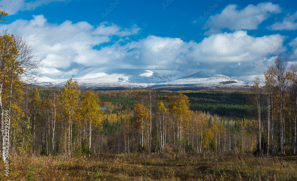 Late autumn in the Arctic .