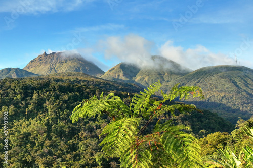 Volcan La Soufrière en Guadeloupe Caraïbes