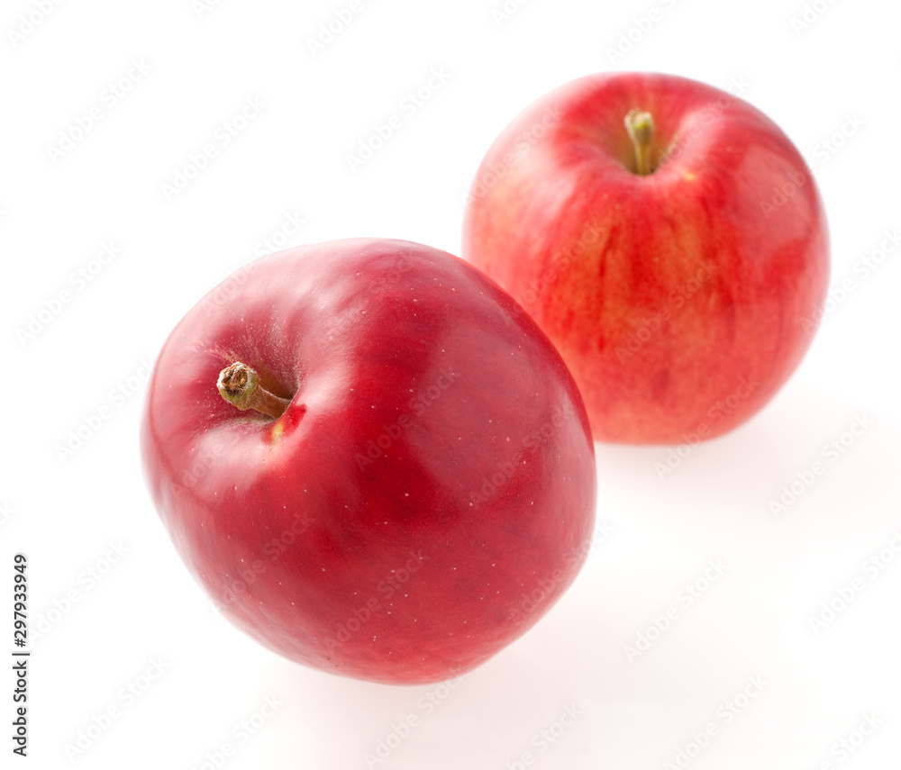 りんご 紅玉 りんご 紅玉