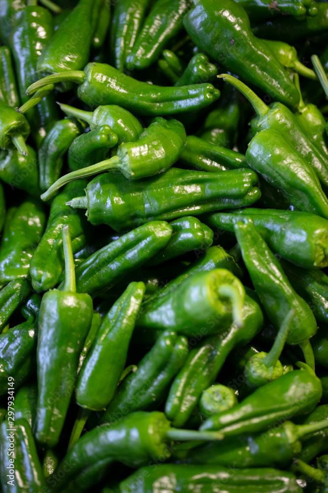 mercado mercado
