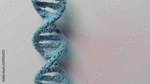 DNA strand double helix