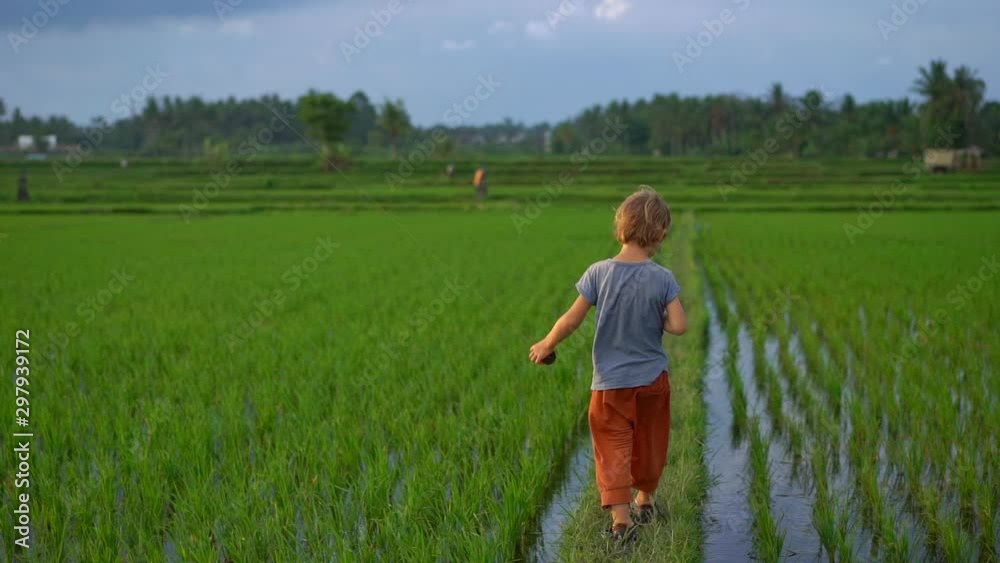 Slowmotion shot of a little boy with a kite walking through a big beautiful rice field Slowmotion shot of a little boy with a kite walking through a big beautiful rice field