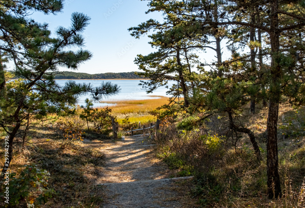 Fototapeta premium Great Island Trail 1