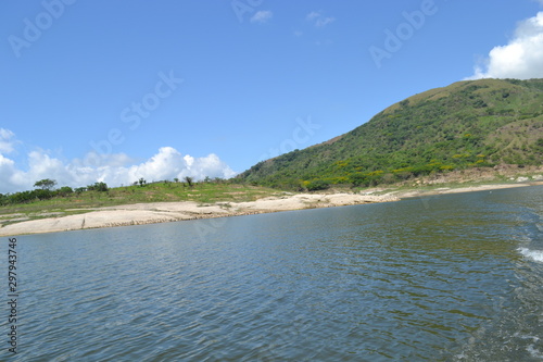 naturaleza  arboles  presa  lago  